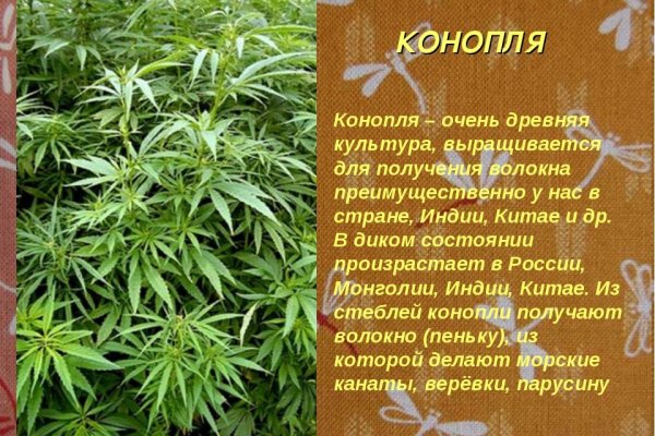 Тор для кракена