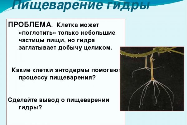 Супернет маркет кракен onion