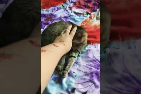 Как войти на кракен