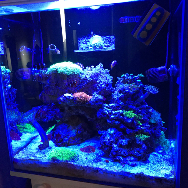 Kra50.at