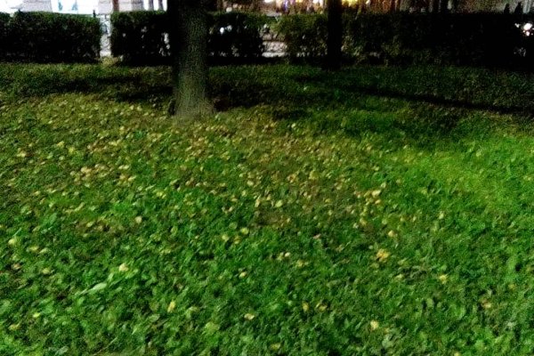 Кракен сайт наркота