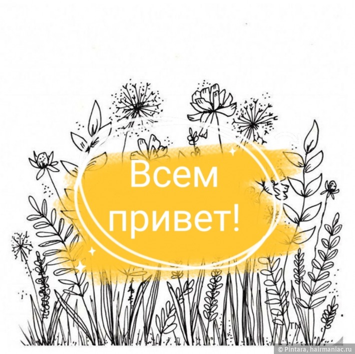 Забыл пароль от кракен